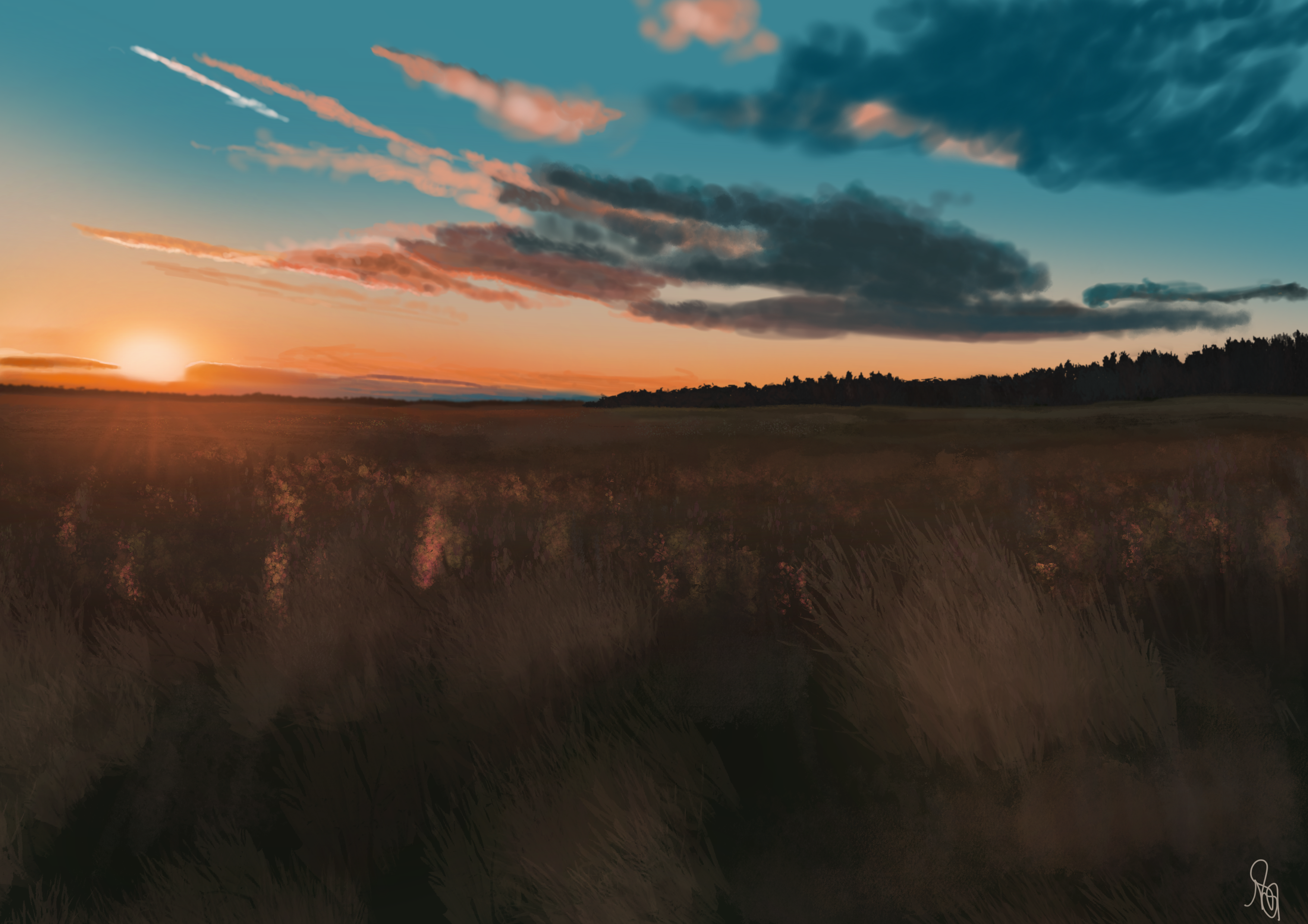 landscape